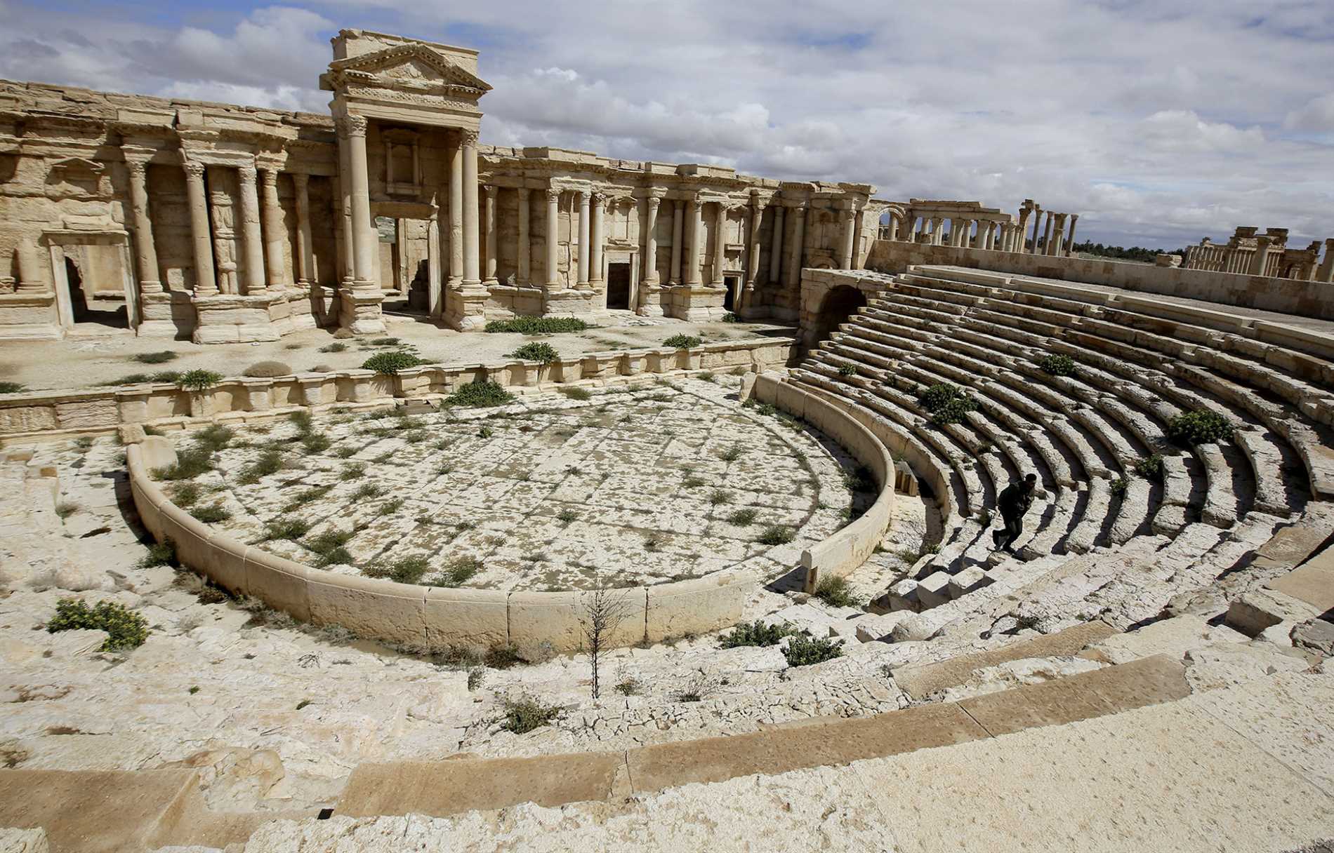 Discover the Palmyra App!