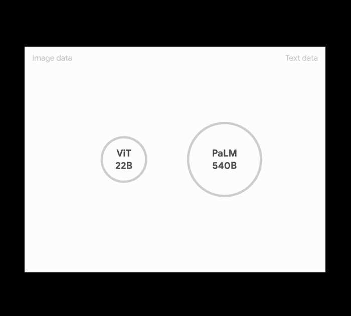 Unleashing the Palm Potential: Using the Palm Advanced Language Model